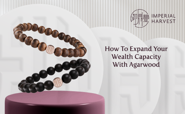 How To Expand Your Wealth Capacity With Agarwood