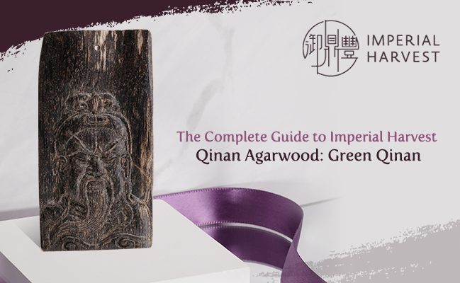 The Complete Guide to Imperial Harvest Green Qinan Agarwood