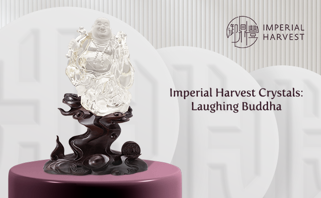 Imperial Harvest Crystals: Laughing Buddha