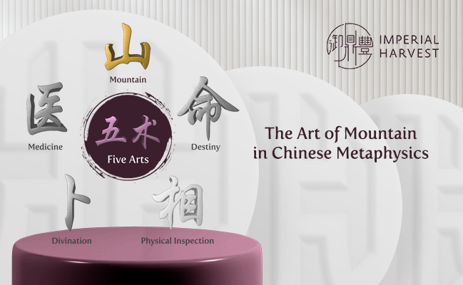 The Art of Mountain in Chinese Metaphysics