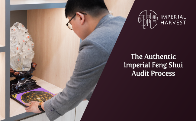 The Authentic Imperial Feng Shui Audit Process