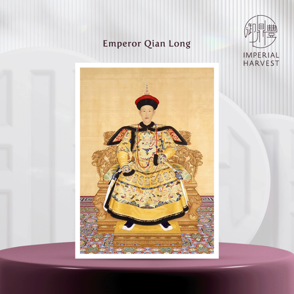 Portrait of Emperor Qian Long