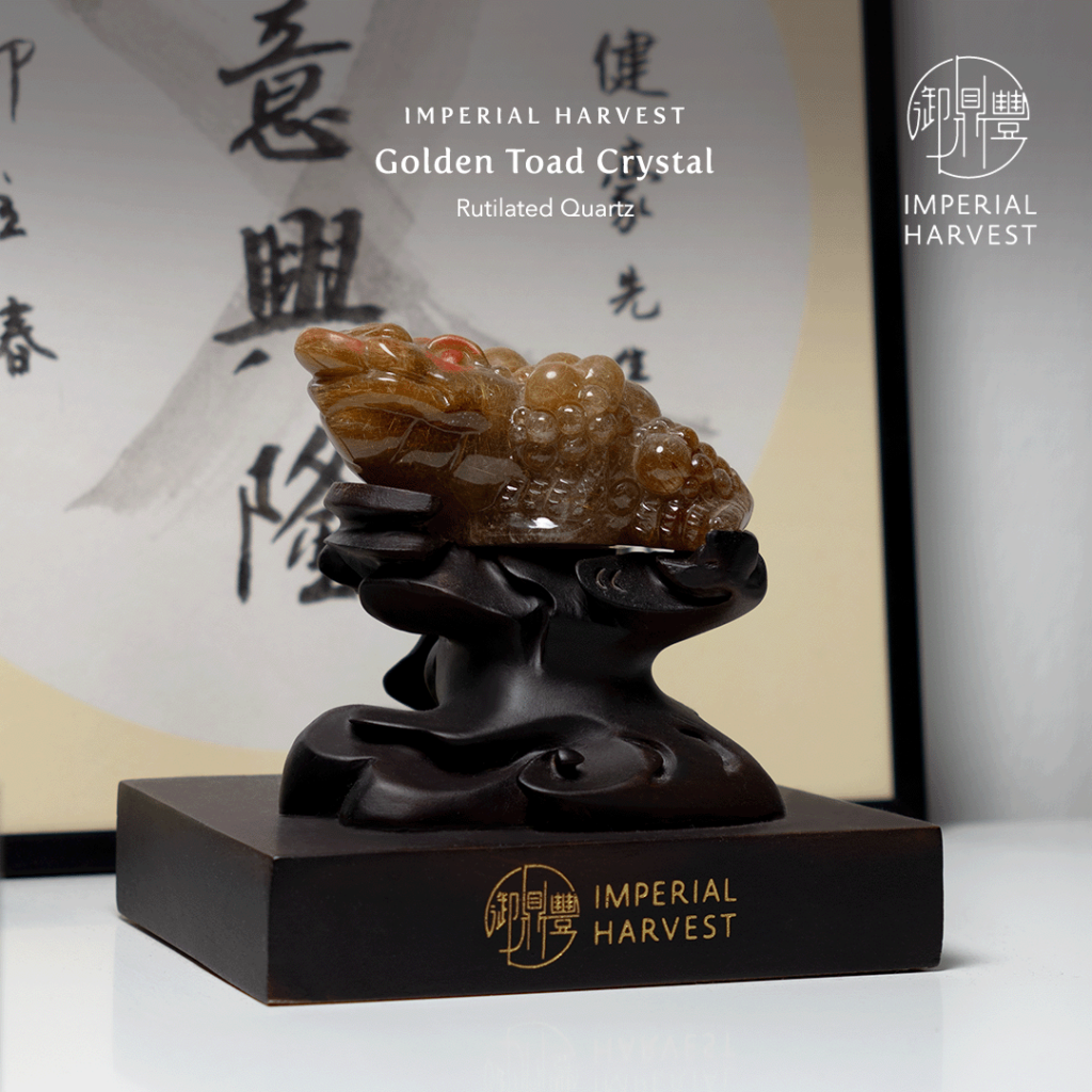 Hideyoshi's Imperial Harvest Golden Toad Rutilated Quartz Crystal
