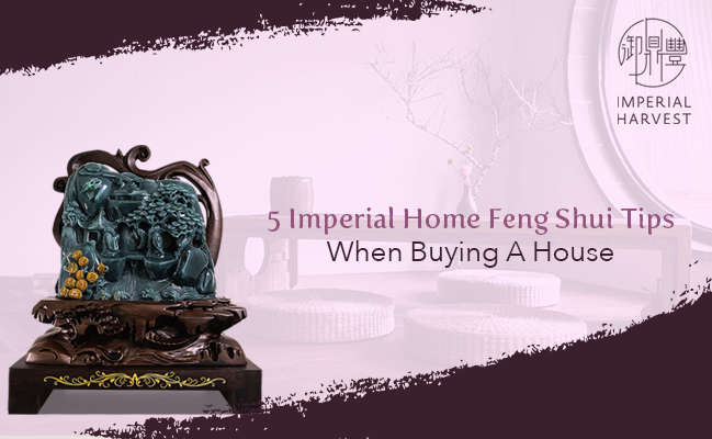5 Imperial Feng Shui Tips When Buying A House