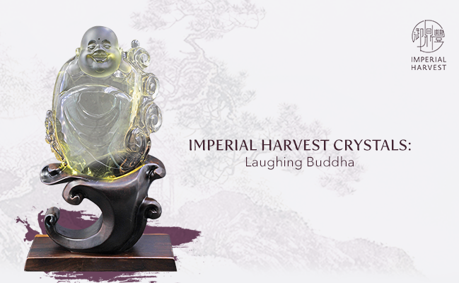 Imperial Harvest Crystals: Laughing Buddha