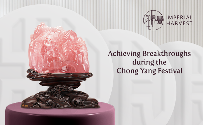 Achieving Breakthroughs during the Chong Yang Festival