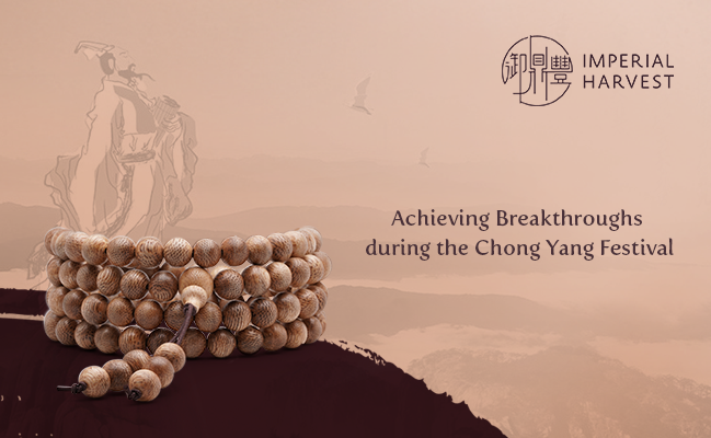 Achieving Breakthroughs during the Chong Yang Festival
