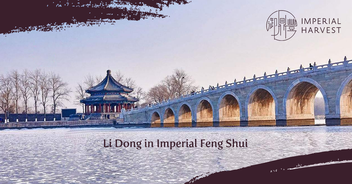 Li Dong in Imperial Feng Shui