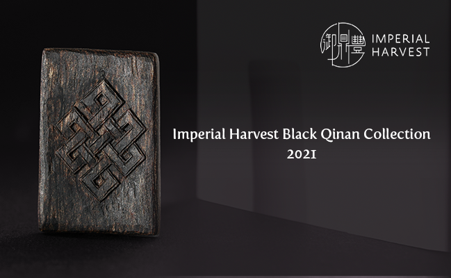 The Complete Guide to Imperial Harvest Black Qinan Agarwood