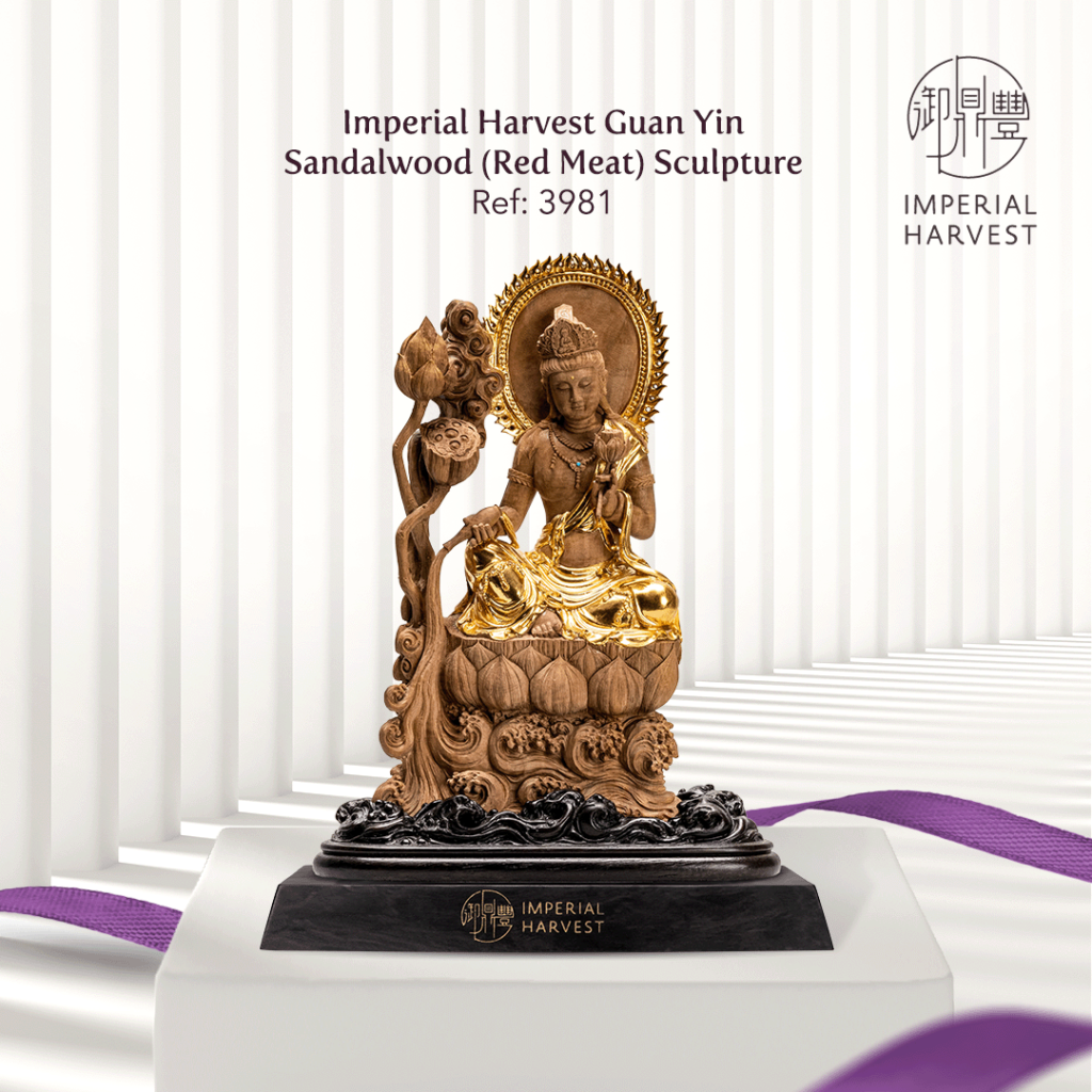 Imperial Harvest Guan Yin Sandalwood (Red Meat) Sculpture