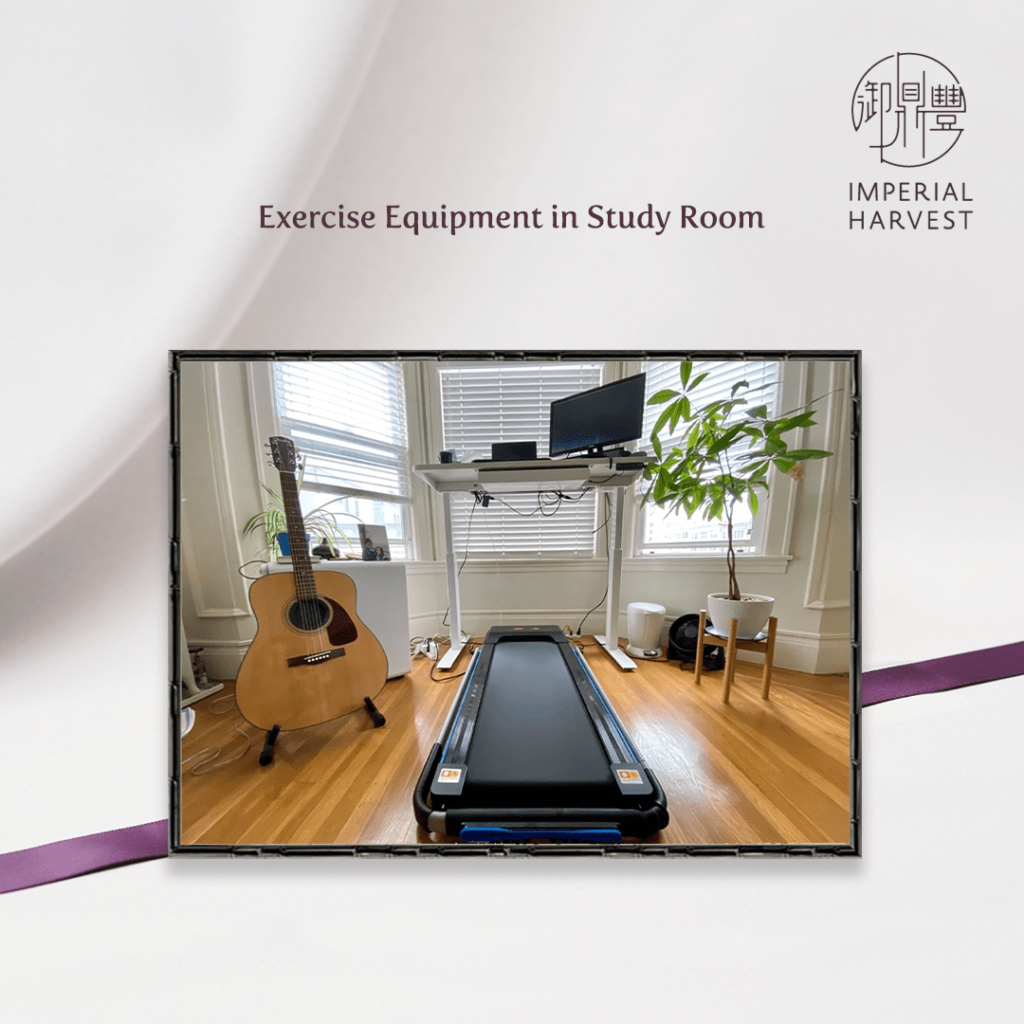 Study with exercise equipment