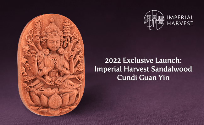 2022 Exclusive Launch: Imperial Harvest Sandalwood Cundi Guan Yin