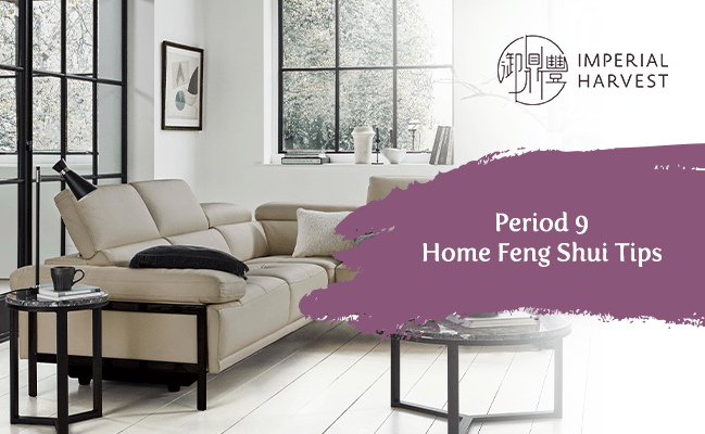Period 9 Home Feng Shui Tips