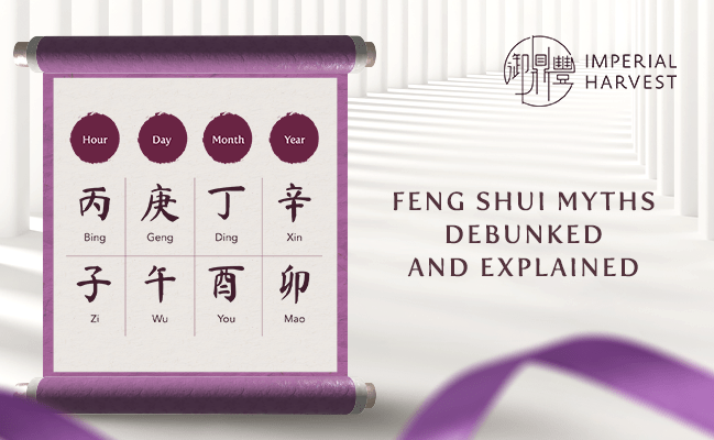 Feng Shui Myths Debunked and Explained