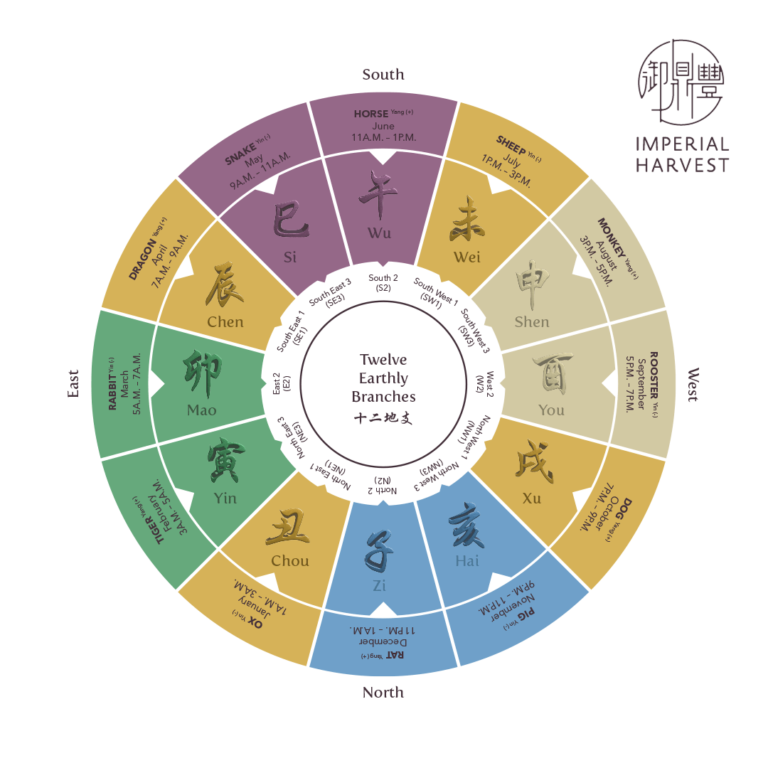 A Comprehensive Guide To The History Of Bazi (八字) - Imperial Harvest