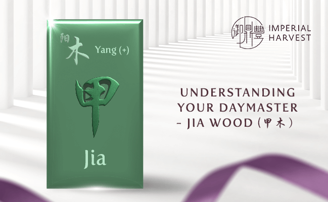 Understanding Your Daymaster — Jia Wood (甲木)