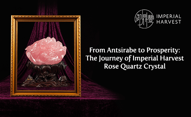 From Antsirabe to Prosperity: The Journey of Imperial Harvest Rose Quartz Crystal