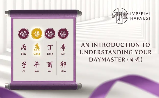 An Introduction to Understanding Your Daymaster (日柱)