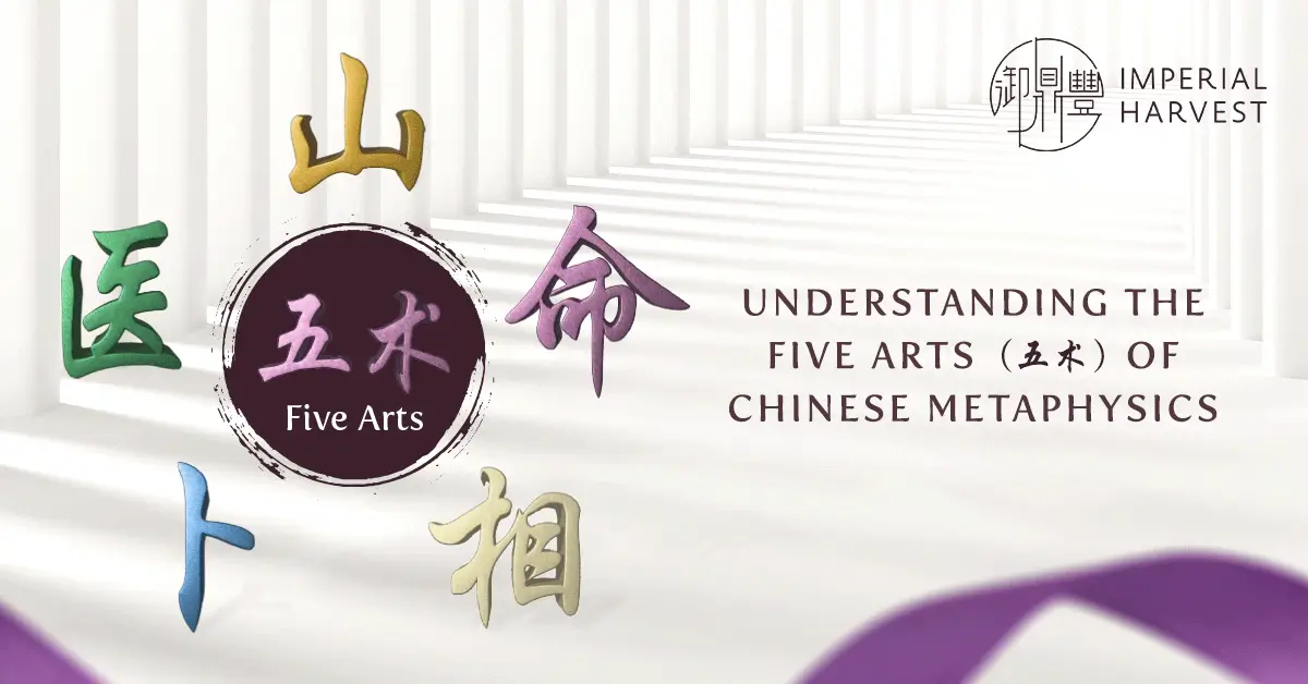 Understanding the Five Arts (五术) of Chinese Metaphysics