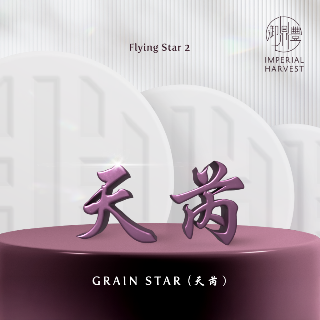 Flying Star 2 — Grain Star (天芮 tiān ruì)