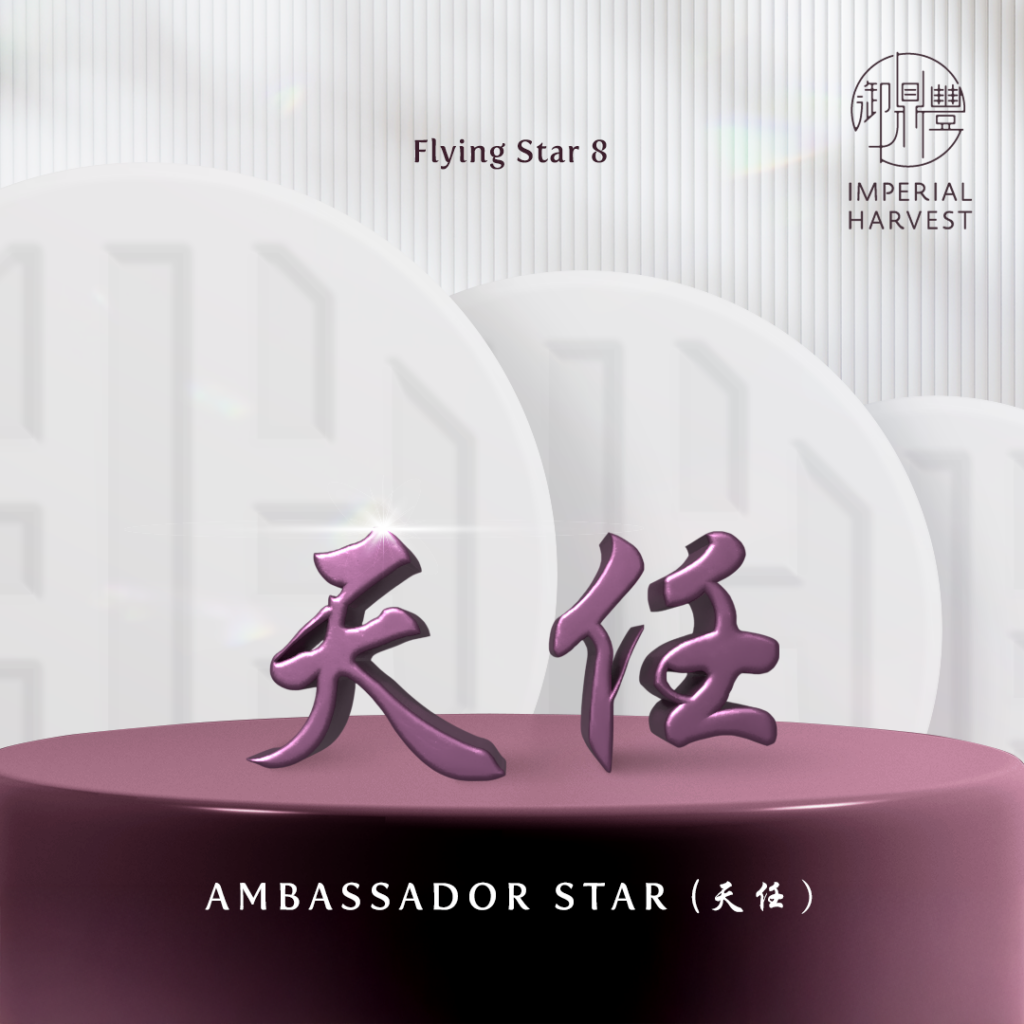 Flying Star 8 — Ambassador Star (天任 tiān rèn)