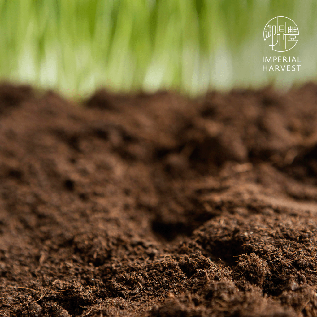 Ji Earth embodies the qualities of soft, fertile soil that unknowingly nurtures and nourishes life