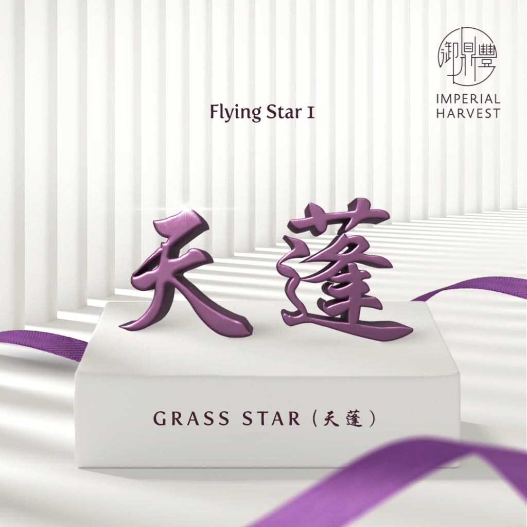 Flying Star 1 - Grass Star