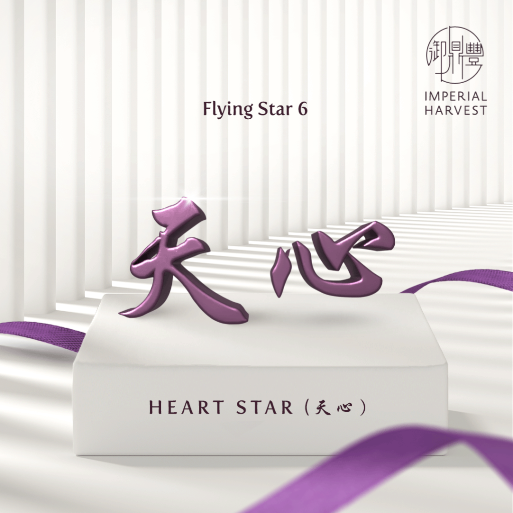 Flying Star 6 - Heart Star
