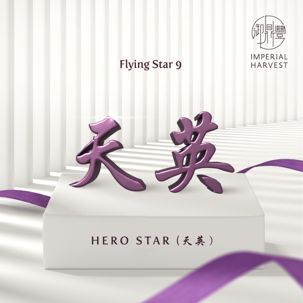 Flying Star 9 - Hero Star