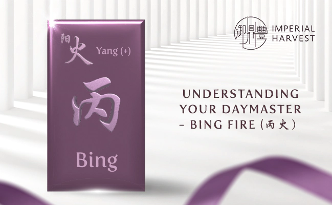 Understanding Your Daymaster — Bing Fire (丙火)