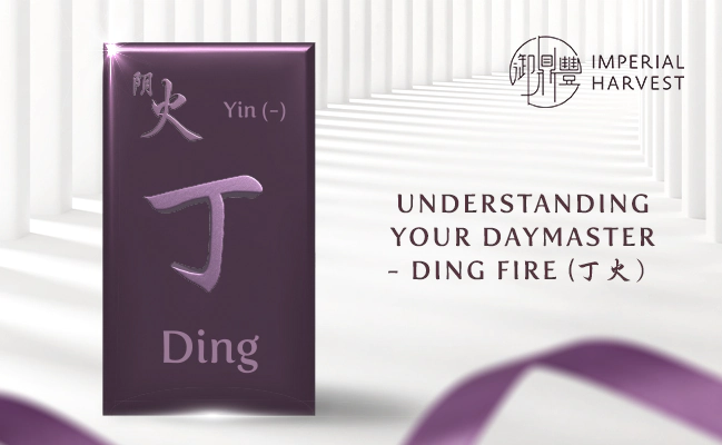 Understanding Your Daymaster — Ding Fire (丁火)