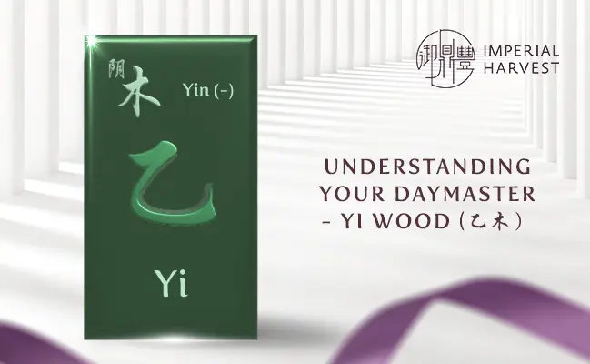 Understanding Your Daymaster — Yi Wood (乙木)