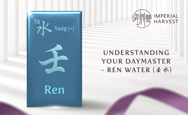 Understanding Your Daymaster — Ren Water (壬水)