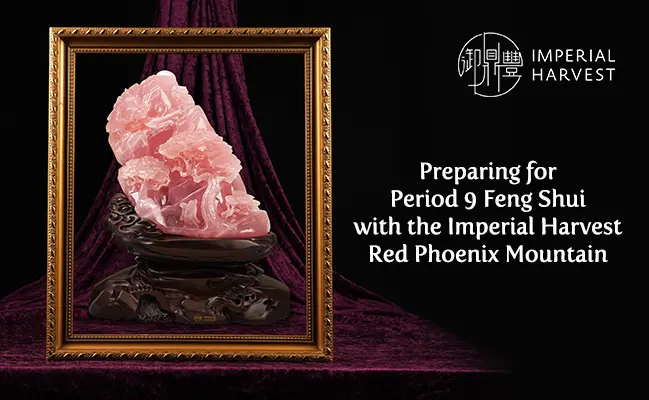 Preparing for Period 9 Feng Shui with the Imperial Harvest Red Phoenix Mountain
