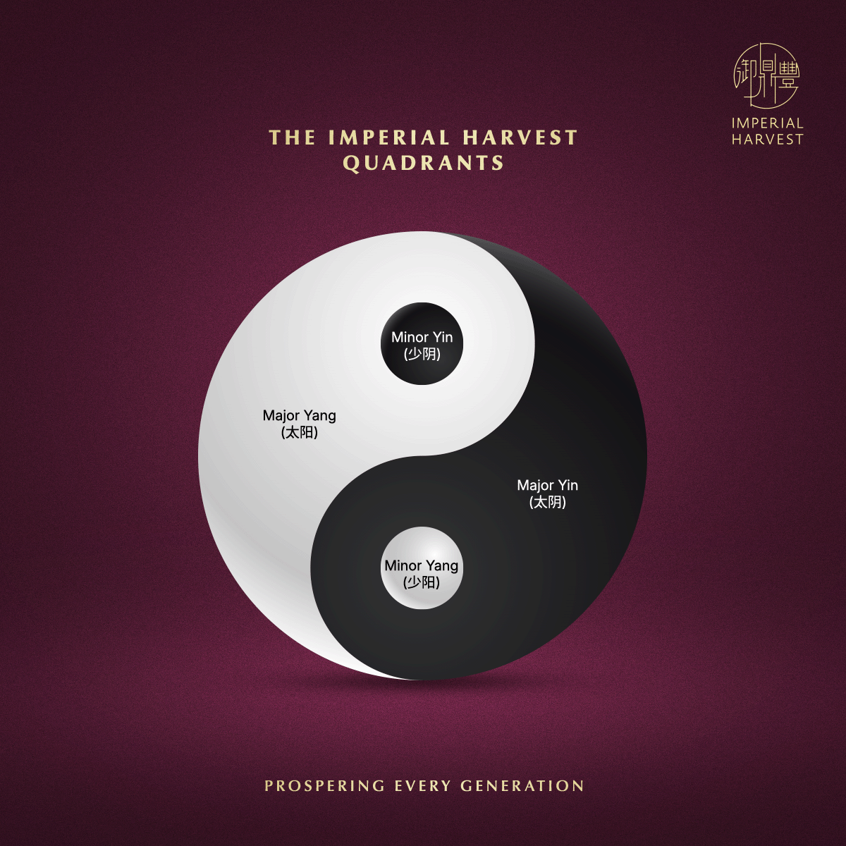 Blog 03.06 The Five Elements Four Quadrants