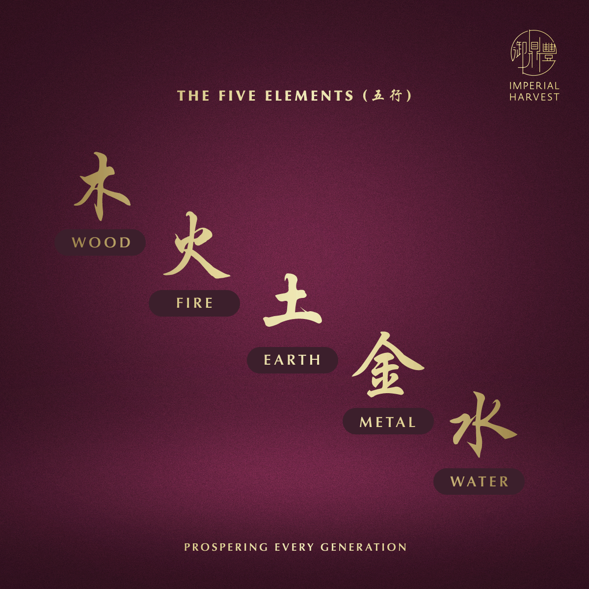 Blog 03.06 The Five Elements Hero
