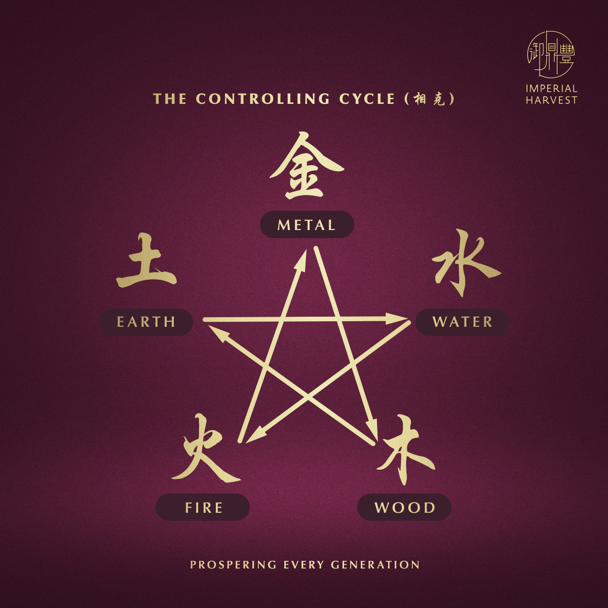 Blog 03.06 The Five Elements The Controlling Cycle
