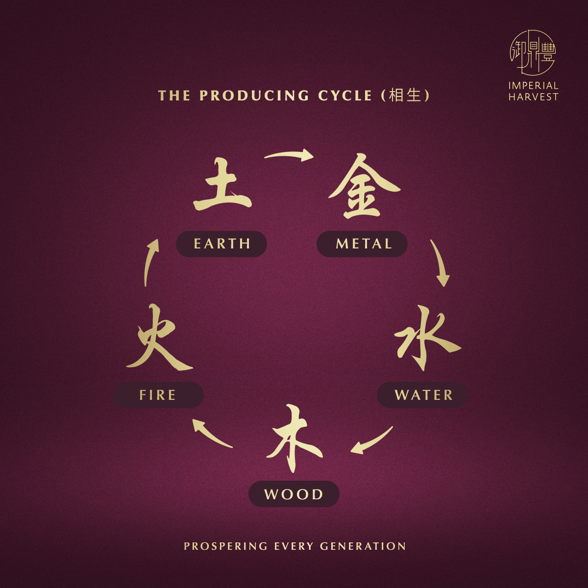 Blog 03.06 The Five Elements The Producing Cycle 1