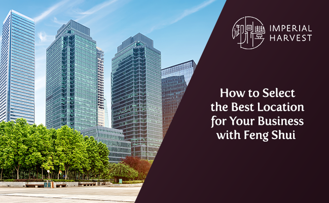 How to Select the Best Location for Your Business with Feng Shui