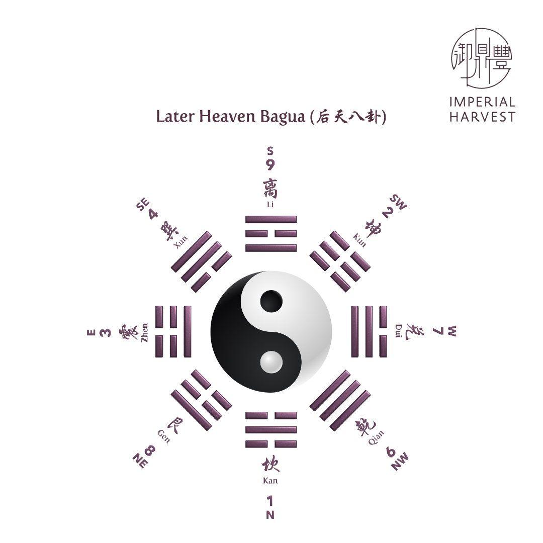 Understanding Bagua (八卦) - Imperial Harvest