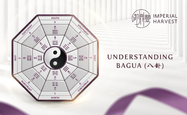Understanding Bagua (八卦)