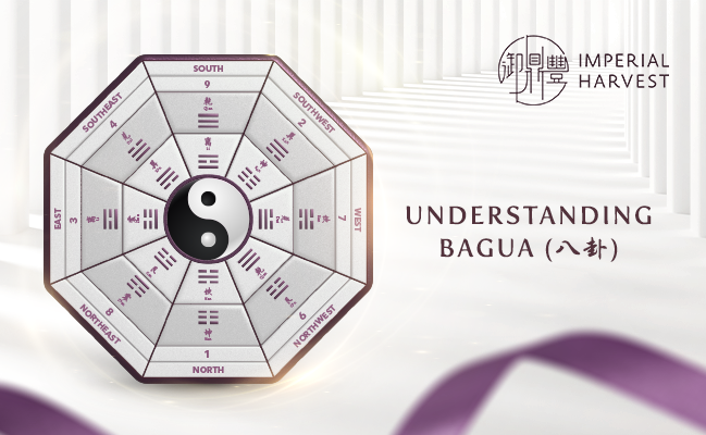 Understanding Bagua (八卦)