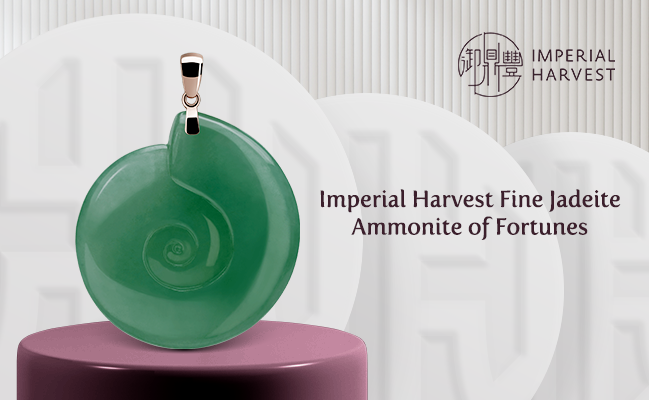 Imperial Harvest Jadeite Collection – Ammonite of Fortunes