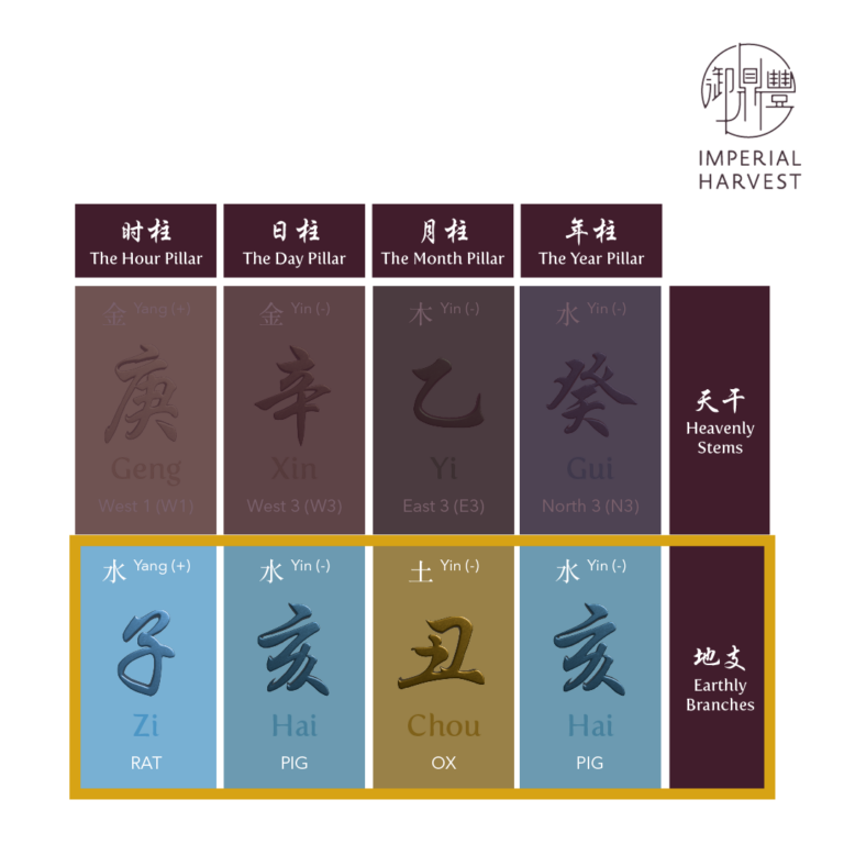 Introduction to the 12 Earthly Branches (十二地支) - Imperial Harvest