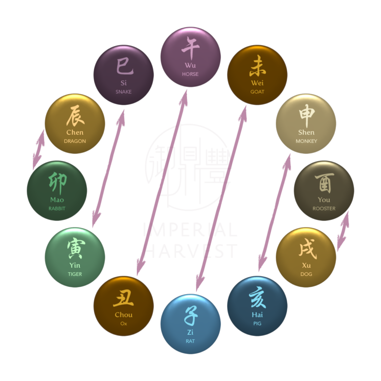 Introduction to the 12 Earthly Branches (十二地支) - Imperial Harvest