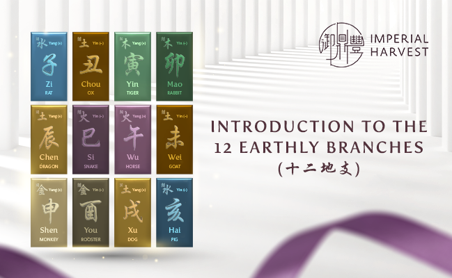 Introduction to the 12 Earthly Branches (十二地支)