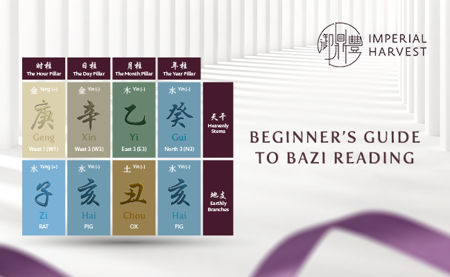 Beginner’s Guide to Bazi Reading