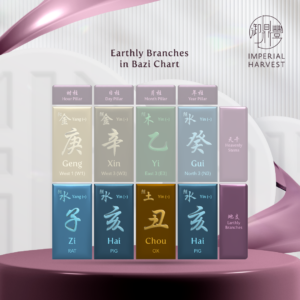Introduction to the 12 Earthly Branches (十二地支) - Imperial Harvest
