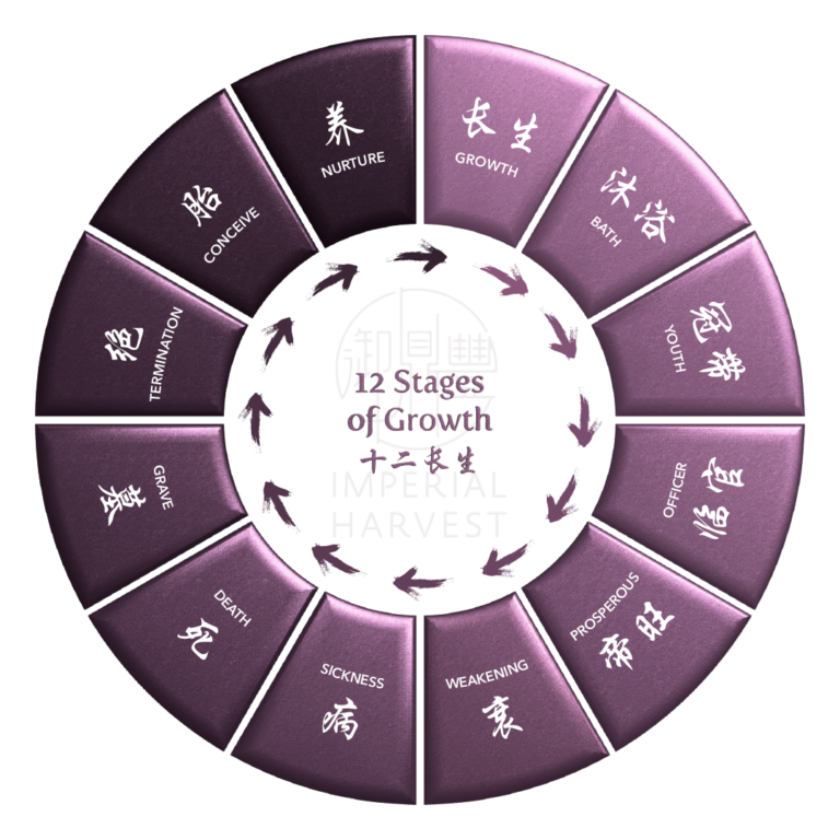 The 12 Stages of Growth (十二长生) in Bazi - Imperial Harvest