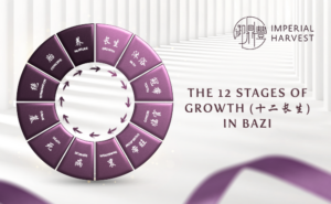 The 12 Stages of Growth (十二长生) in Bazi - Imperial Harvest